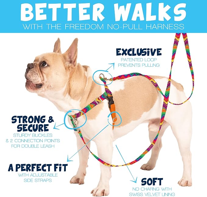 2 Hounds Design Freedom No Pull Dog Harness, 1 inch LG, Rust | Discourages Pulling, Comfortable Control Adjustable Dog Harness for Large Sized Dogs, Made in USA (Leash Not Included)