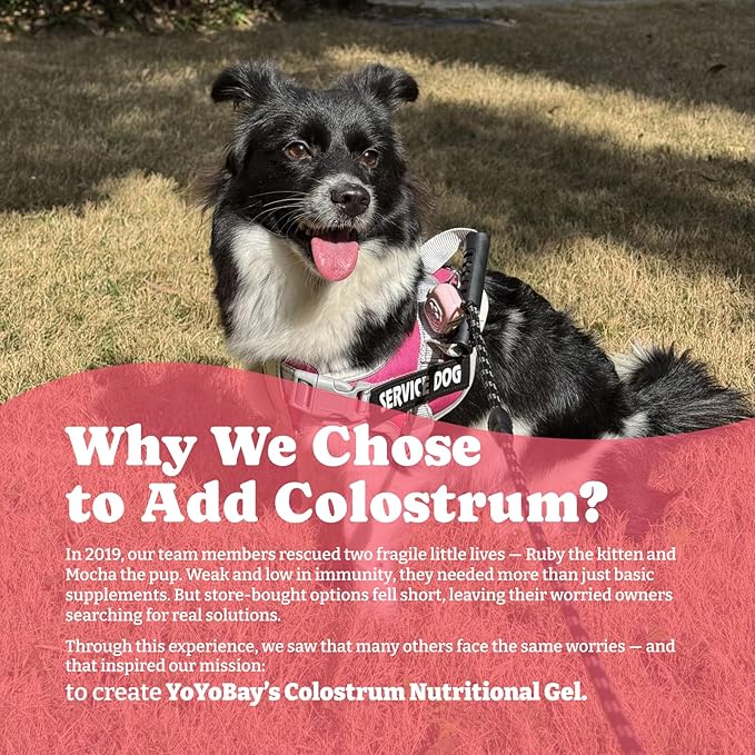 2 Pack Colostrum Nutritional Gel for Dog & Cat - High Calorie Supplement for Senior Dogs Cats, Stimulate Appetite for Cats, Immune Support, Dog Cat Weight Gainer, Elderly Pets Supplement