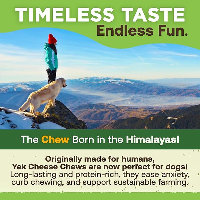 EcoKind Pet Treats Gold Himalayan Yak Cheese Dog Chew, Yak Dog Treats for Active Chewers, 100% Natural & Healthy Chew Sticks for Dogs, Assorted Set of Big & Small Yak (8 Sticks)