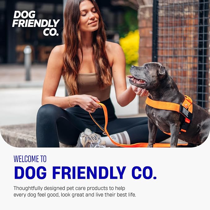 Dog Friendly Co. Dog Harness for Small Dogs (Hi-Vis Orange, Extra Small) | One Click Buckle, Chafe Resistant Webbing, Adjustable Neck & Chest, and Heavy Duty D-Ring, Sturdy Comfortable and Easy to Use