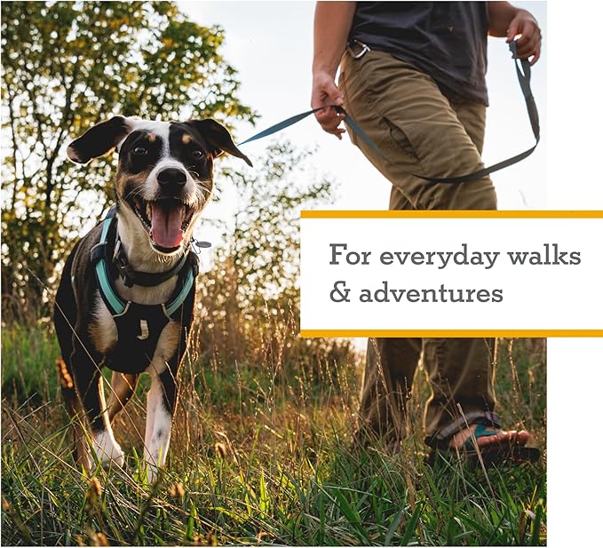 Ruffwear, Hi & Light, Everyday Lightweight Dog Harness, Trail Running, Walking, Hiking, All-Day Wear, Basalt Gray, Medium