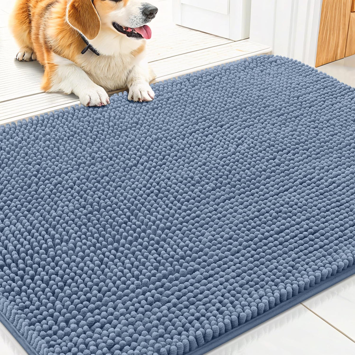 Smiry Dog Door Mat for Muddy Paws 30x20, Absorbs Moisture and Dirt Doormat, Non-Slip Washable Quick Dry Chenille Front Door Mat Indoor Entrance, Entryway Carpet for Inside Floor, Airy Blue