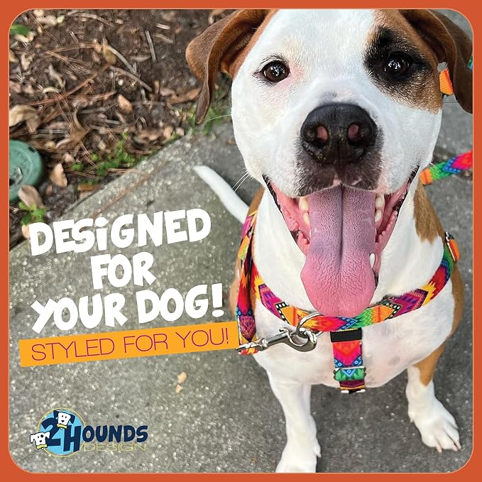 2 Hounds Design Freedom No Pull Dog Harness and Leash, 5/8" SM, Kelly Green | Promotes Easy Walking & Comfortable Control, Secure Fit, Adjustable Harness and Leash Set for Small Sized Dogs, Made in USA