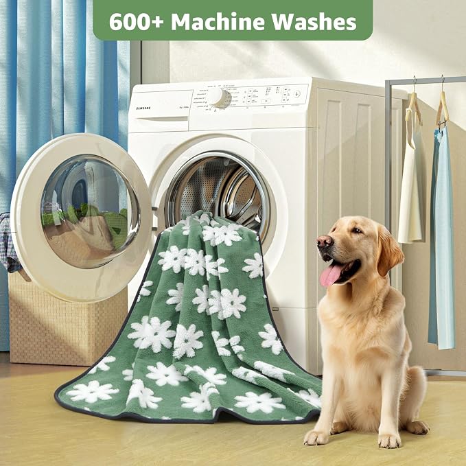 LOOBANI Washable Puppy Pads, Reusable Dog Pee Mat 36"x24", 2 Pack | Super Absorbent, Waterproof, Leakproof, Non-Slip, Soft For Playpen, Crate, Potty Training, Floors