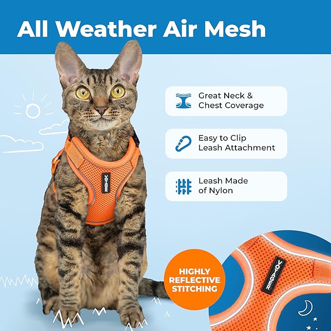 Voyager Escape Proof Cat Harness and Leash Set with Reflective Stitching, Neoprene Handle 5ft - Supports Small, Medium and Large Cats, Kittens for Walking by Best Pet Supplies - Orange, XXS