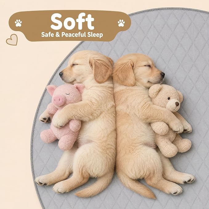 CoolShields Washable Pee Pads for Dogs, 24'' x 36'', Grey, 2 Pack | Ultra-Absorbent Reusable Waterproof Puppy Pad for Crates, Playpens, Carpets, and Floors—Ideal for Dogs, Cats, and Small Pets