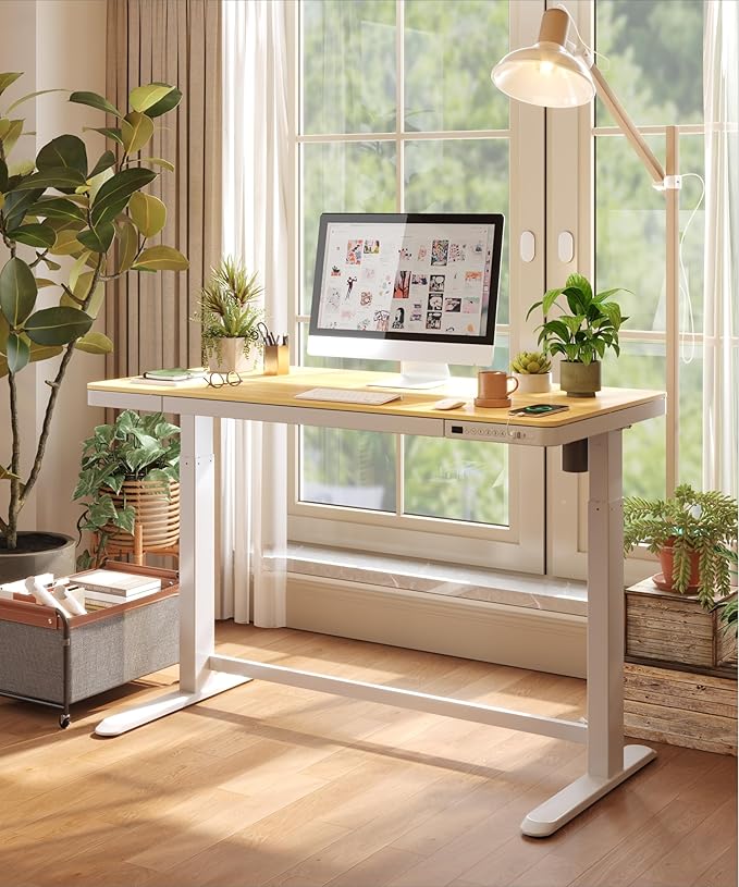 Standing Desk with Drawer, Electric Height Adjustable Home Office Desk with