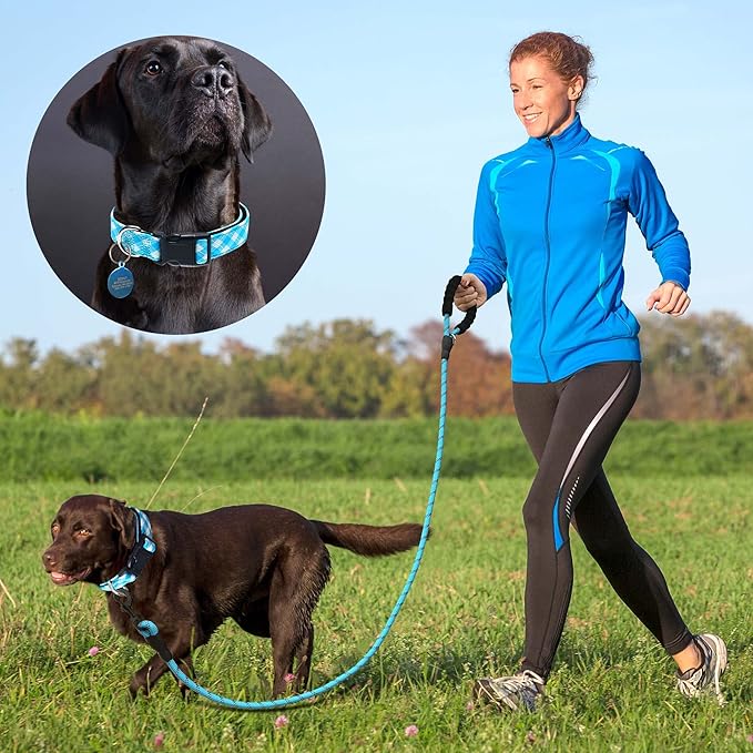 Reflective Dog Collar Padded with Soft Neoprene Breathable Adjustable Nylon Dog Collars for Small Medium Large Dogs (Large (Pack of 1), Vivid Blue Plaid Collar+Leash)