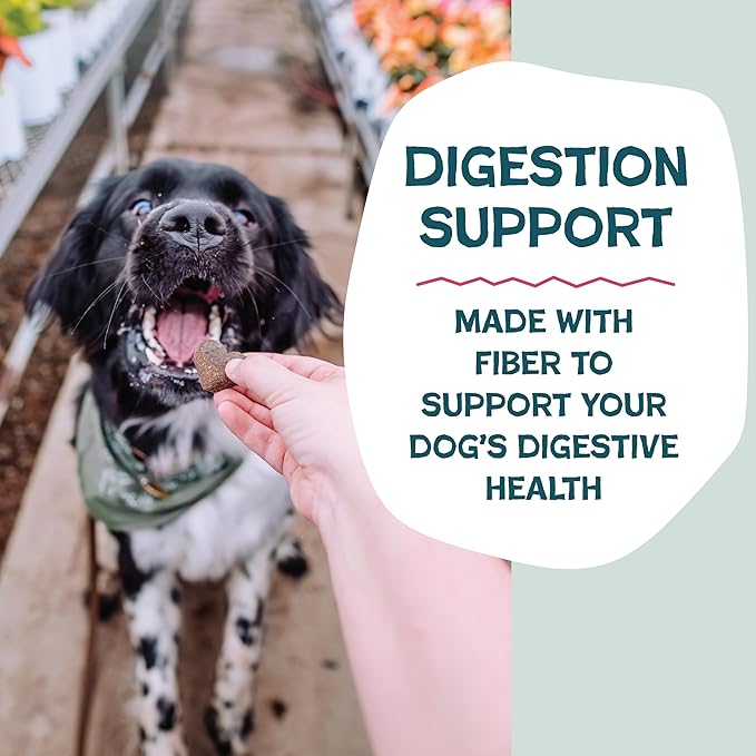 Shameless Pets Soft-Baked Dog Treats, Duck Duck Beet - Natural & Healthy Chews for Digestive Support with Fiber - Doggie Biscuits Baked & Made in USA, Free from Grain, Corn & Soy - 1-Pack