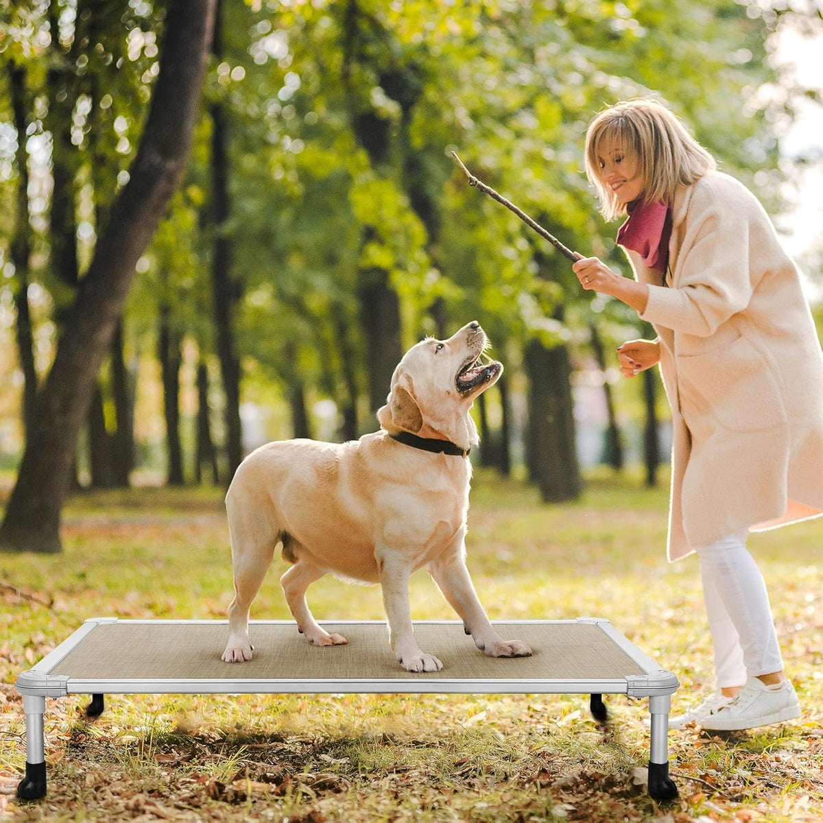 Veehoo Chew Proof Elevated Dog Bed. Everyday comfort that fits naturally into your space.