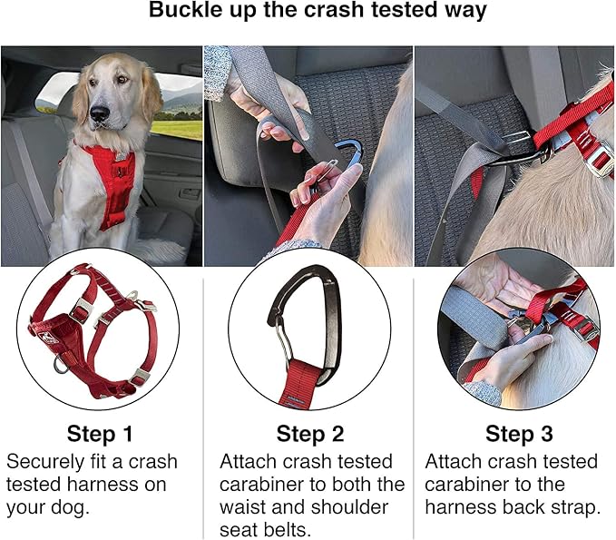 Kurgo Enhanced Strength Tru-Fit Smart Harness, Black, Extra Small | Crash Tested Car Harness for Dogs up to 75Lbs, Seatbelt Tether & Steel Carabiner, All-Steel Buckles, Padded Chest for Comfort