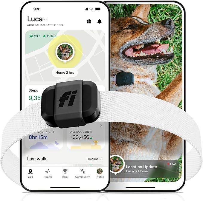 Fi Mini GPS Tracker for Dogs — 12-Month Membership Included — Smart Pet