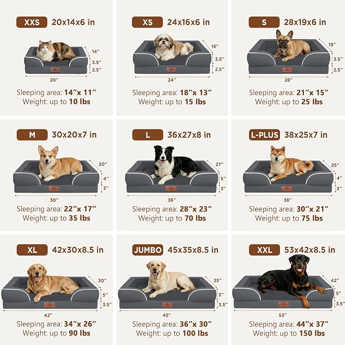 Comfort Expression Waterproof Orthopedic Dog Bed for Medium Size Dog | Supportive Egg Crate Foam Medium Pet Bed with Removable Bolsters, Dog Couch with Washable Cover & Non-Slip Bottom, 30x20 Inch