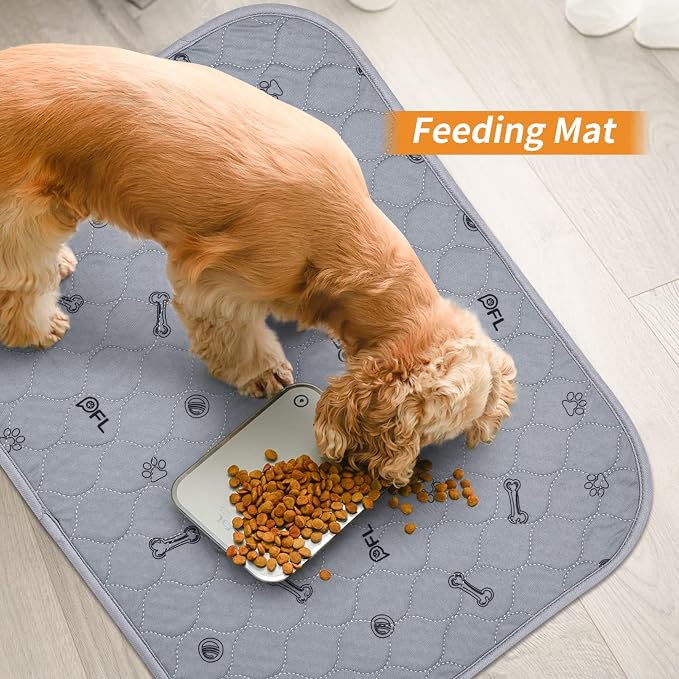 Washable Pee Pads for Dogs, 2 Pack Non-Slip Reusable Puppy Pads 36x36 | Absorbent, Bone Print, Machine Wash Whelping Pads, Dog Mats for Senior Dog, Floor Protector, Crate, Potty Training