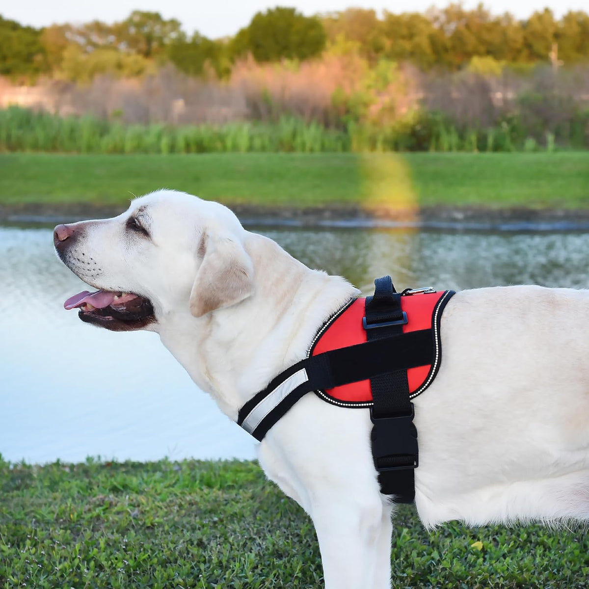 Dogline Dog Harness, Reflective No-Pull Adjustable Vest with Handle for Walking, Training, Service Breathable No - Choke Harness for Small, Medium or Large Dogs Room for Patches Girth 15 to 18 in Red