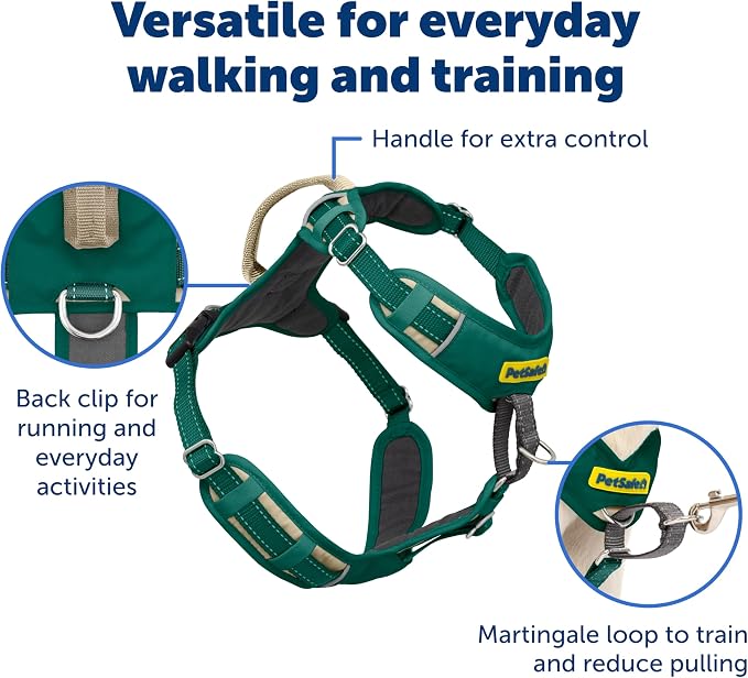 PetSafe Easy Walk Comfort No Pull Dog Harness, Green, Small | Stops Pulling on First Use with Front Martingale Loop, Full-Body Padding, 5-Point Adjustable Fit