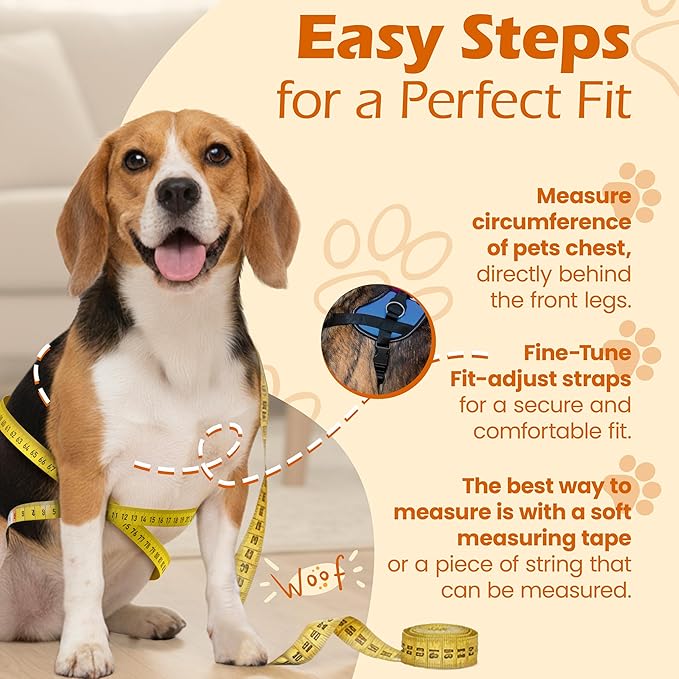 Bark Appeal Aqua Blue No-Pull Dog Harness for Extra Small Sized Pets – Adjustable, Reflective Vest with 3 Leash Clips for Added Control, Easy Walks & Training – XS