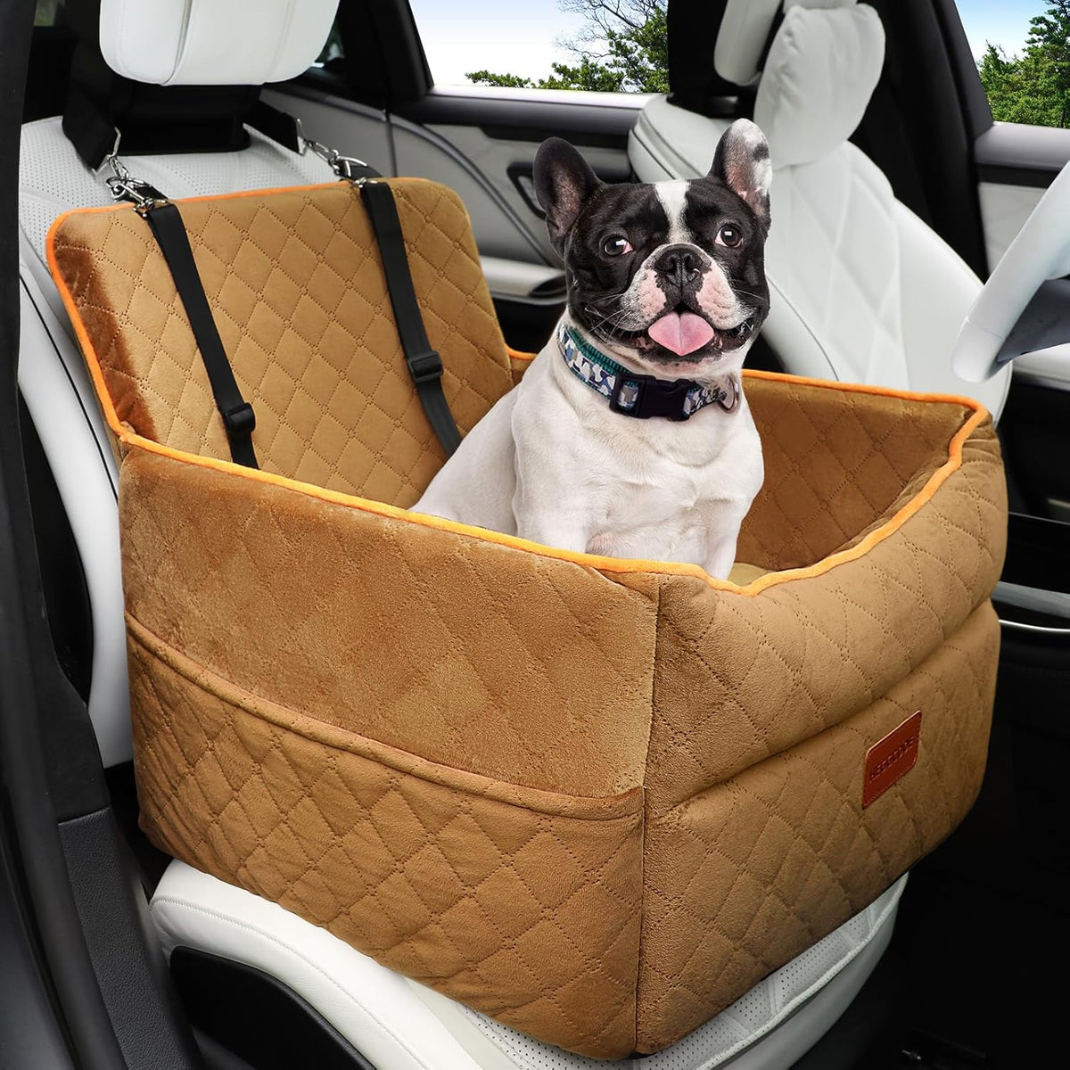 Dog Car Seat for Small Medium Dogs, Memory Foam Dog Booster Seats with Thick Cushion for Dogs Under 35lbs, Detachable Washable Pet Car Seat Travel Bed with Storage Pockets,2 Safety Belt