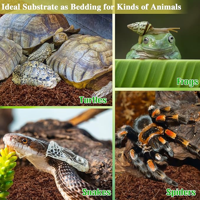 ZeeDix 4 Pack Coconut Fiber Substrate, 100% Organic Coconut Husk Coco Coir Brick Terrarium Bedding for Reptiles, Tortoise, Bearded Dragon, Leopard Gecko, Snake, Hermit Crabs, Frogs, Tarantula