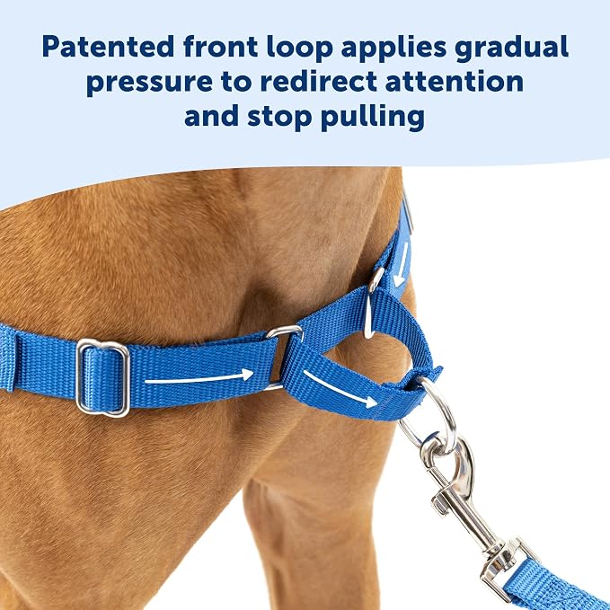 PetSafe Easy Walk No-Pull Dog Harness-Ultimate Harness to Help Stop Pulling -Pull-Free Walks-Control & Teach Better Leash Manners-Patented Martingale Loop Design-Charcoal Gray,Small/Medium (Pack of 3)