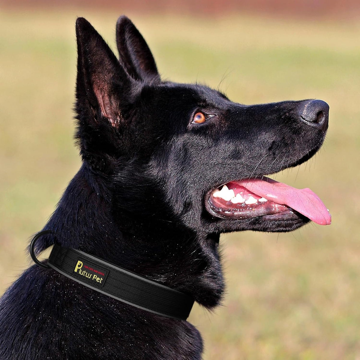 Plutus Pet Tactical Dog Collar, Reflective, Adjustable Heavy Duty Dog Collar, Soft Padded and Comfortable, for Small Medium and Large Dogs (Black, L)