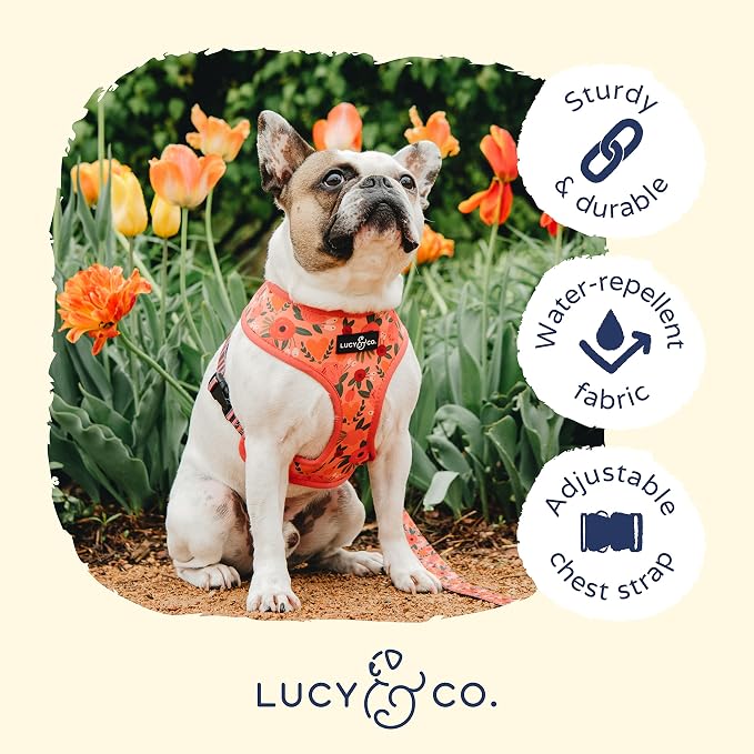 Lucy & Co. Reversible Dog Harness - Water-Repellent Neoprene, Dual-Print Design, Easy Swap Style, Adjustable Comfort Fit - Posy Pink Reversible Harness - Medium