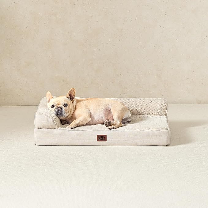 EHEYCIGA Memory Foam Dog Bed Large Size Dogs, Orthopedic Dog Bed Large with Washable Removable Cover, Waterproof Pet Sofa Couch with Nonskid Bottom, 36x27x6, Beige | Washable Removable Cover, Waterproof Flat Pet Sofa Couch with Nonskid Bottom, 36x27x6