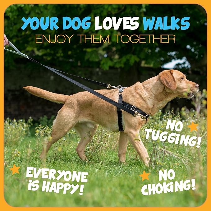 2 Hounds Design Freedom No Pull Dog Harness and Leash, 5/8" SM, Kelly Green | Promotes Easy Walking & Comfortable Control, Secure Fit, Adjustable Harness and Leash Set for Small Sized Dogs, Made in USA