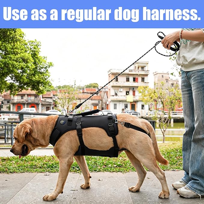 COODEO Dog Lift Harness for Large Dogs, Full Body Support Mobility Aid for Senior Dogs, Adjustable Help for Weak Hind Legs, Arthritis, Stairs & Cars(Black,XL)