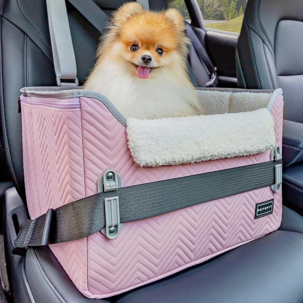 PETSFIT Dog Car Seats for Small Dogs, Portable Puppy Car Saet for Car with Clip-On Leash, Adjustable Straps Suitable for Small Pets Up to 25lbs (Light Pink)