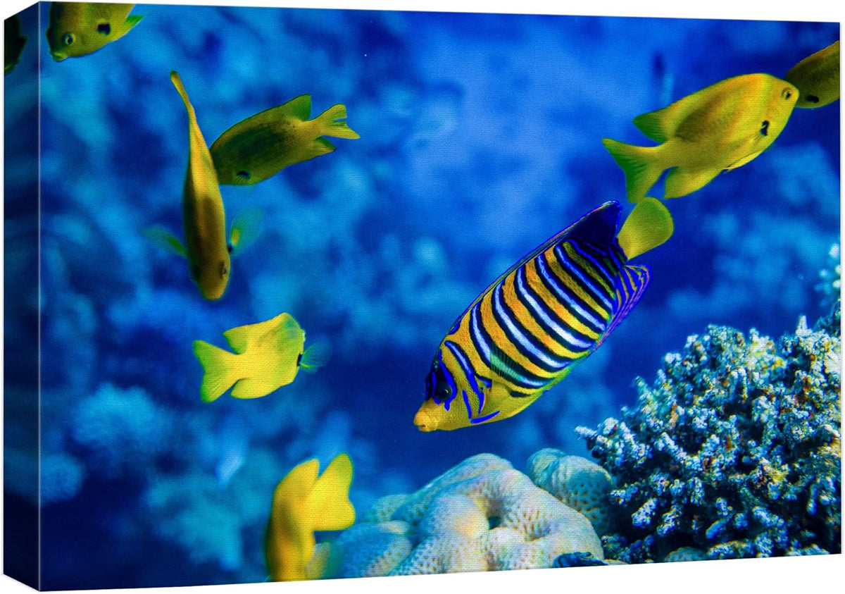 wall26 Canvas Print Wall Art Striped Yellow Tropical Fish Coral Reef Sea Nature Animals Photography Realism Rustic Scenic Landscape Wilderness Colorful for Living Room, Bedroom, Office - 32"x48"
