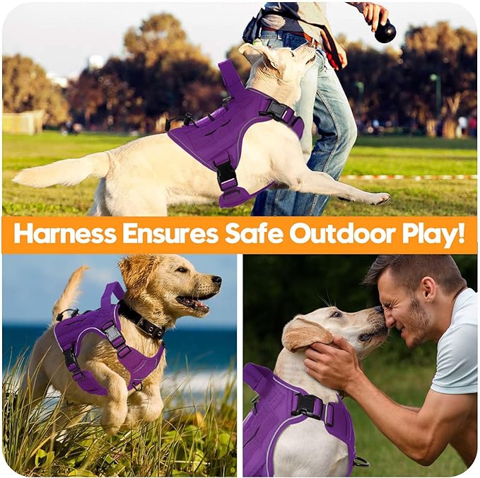 Heavy-Duty Tactical Dog Harness for Large Dogs, No Pull Adjustable Reflective Pet Vest with Molle System, K9 Military-Grade Control for Service Training, Outdoor & 10+ Breeds, Purple, Small