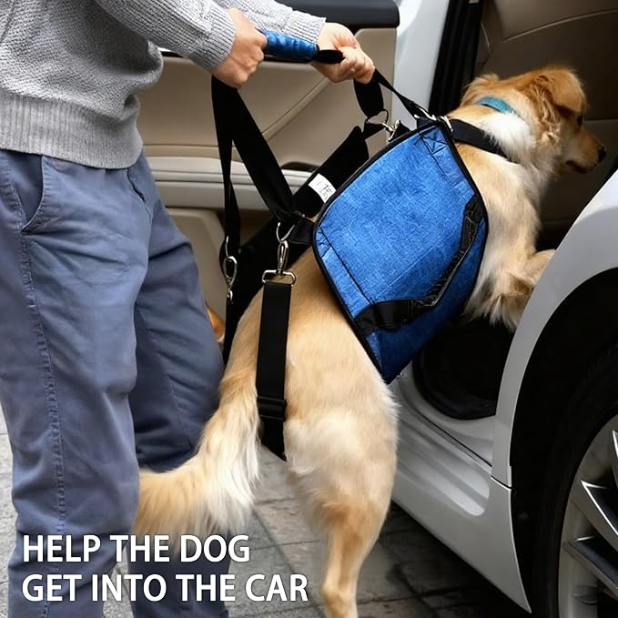 Adjustable Dog Lift Harness, Dog Carry Sling Provides Rear Leg Support for Senior Dogs, Arthritis and After ACL Surgery Dogs,Suitable for Medium to Large Dogs,Blue XL