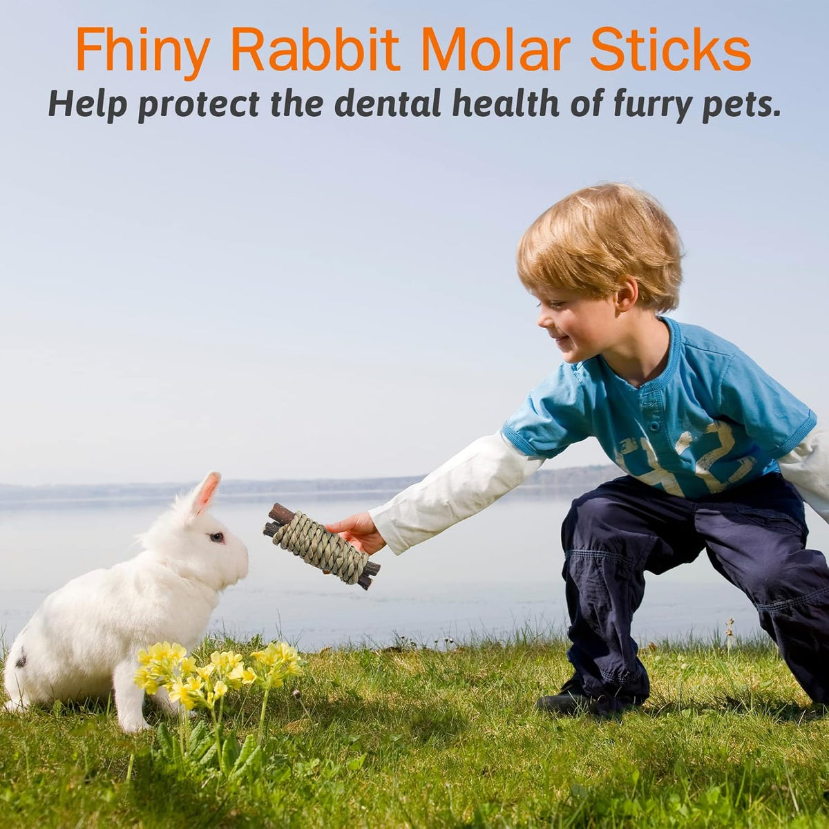 Fhiny 12 PCS Guinea Pigs Chew Toys, Natural Apple Branch Seagrass Molar Sticks for Teeth Bunny Chew Toys Cage Accessories for Guinea Pigs Rabbit Bunny Hamster Chinchilla