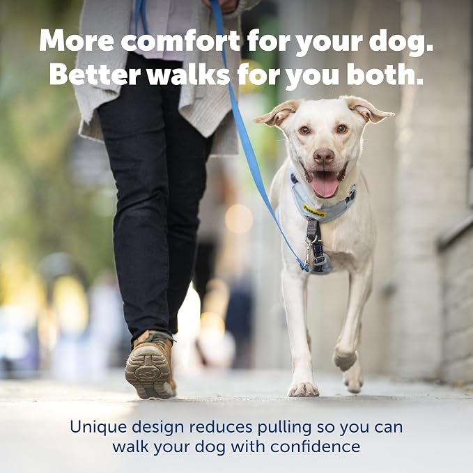 PetSafe Easy Walk Comfort No Pull Dog Harness, Blue, Medium | Stops Pulling on First Use with Front Martingale Loop, Full-Body Padding, 5-Point Adjustable Fit