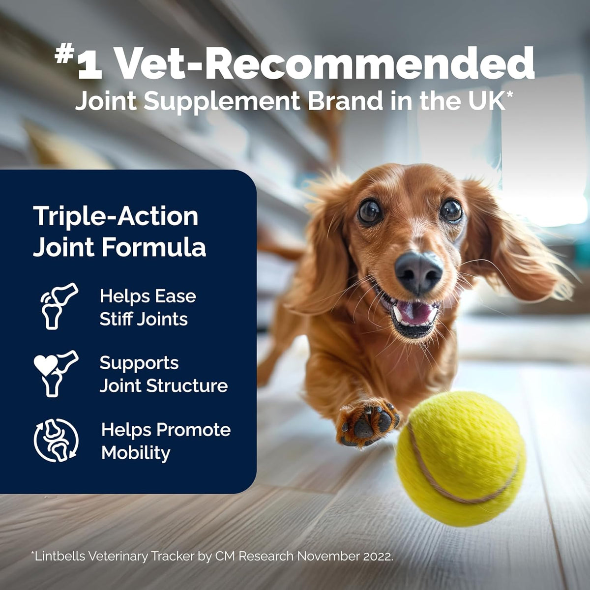 YuMOVE Hip & Joint Supplement for Dogs. Everyday comfort that fits naturally into your space.