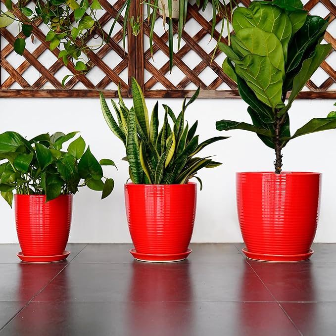 Ceramic Pot for Plants - 8 Inch Plant Pot for Indoor Plants Outdoor Round Planter Modern Flower Pot with Drainage Hole and Saucer Home Garden Office Porch Decor Red