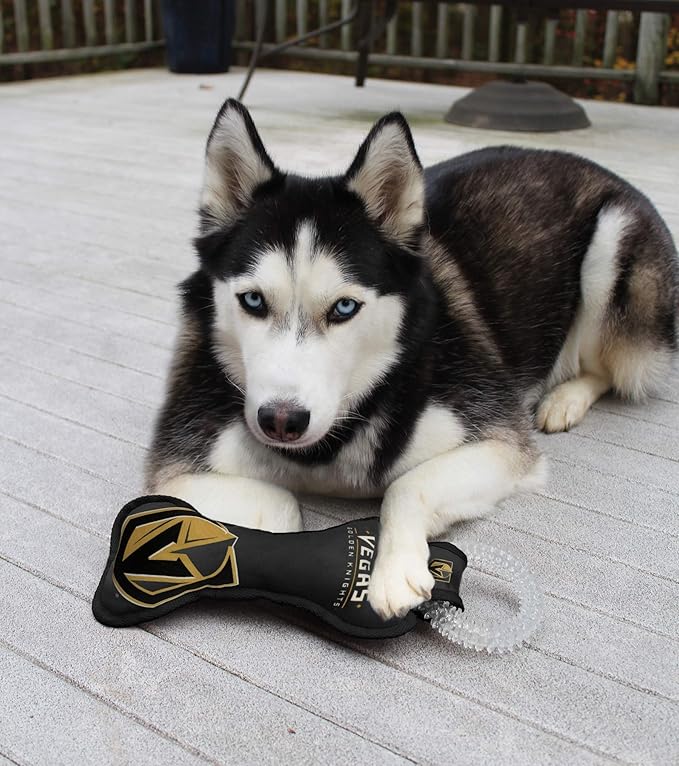 Pets First NHL LAS Vegas Golden Knights Dental Dog TUG Toy with Squeaker. Tough PET Toy for Healthy Fun, Teething & Cleaning Pet's Teeth & Gum., one Size (LVK-3310)