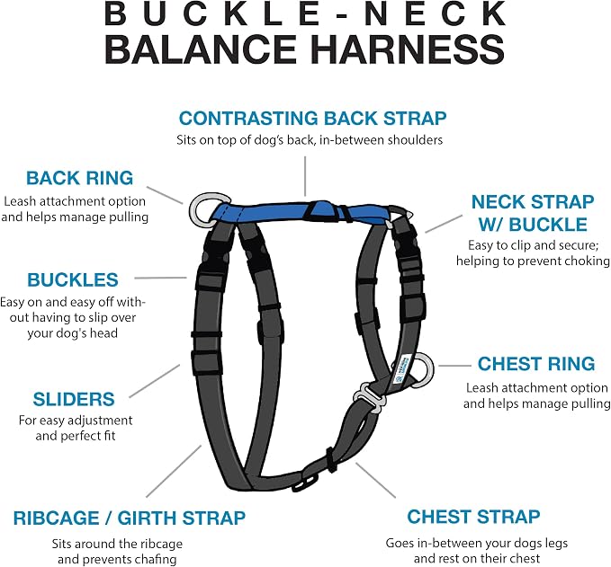 Blue-9 Buckle-Neck Balance Harness, Fully Customizable Fit No-Pull Harness, Ideal for Dog Training and Obedience, Made in The USA, Orange, Medium/Large