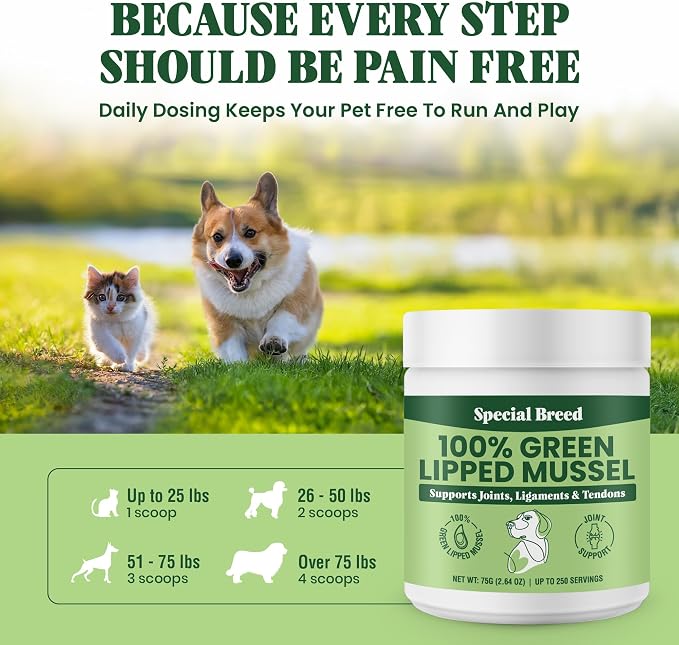 Green Lipped Mussel Powder for Dogs & Cats - 100% New Zealand Green Lipped Mussels - Natural Hip & Joint Supplement for Joints, Tendons, Ligaments, Muscles - 75 Grams - Up to 250 Servings