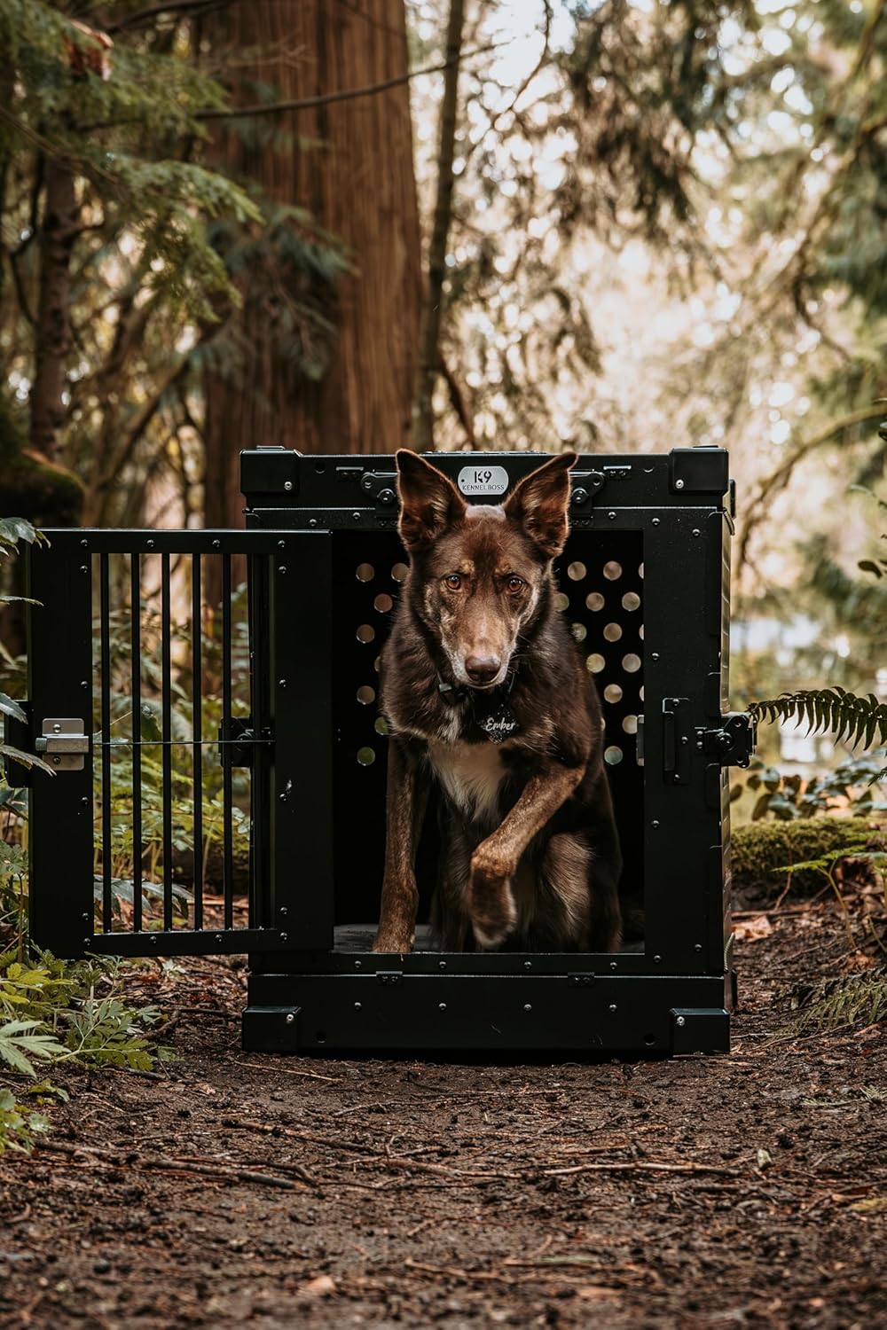Heavy Duty Fully Collapsible Powder-Coated Aluminum Dog Crate - Medium (Black)