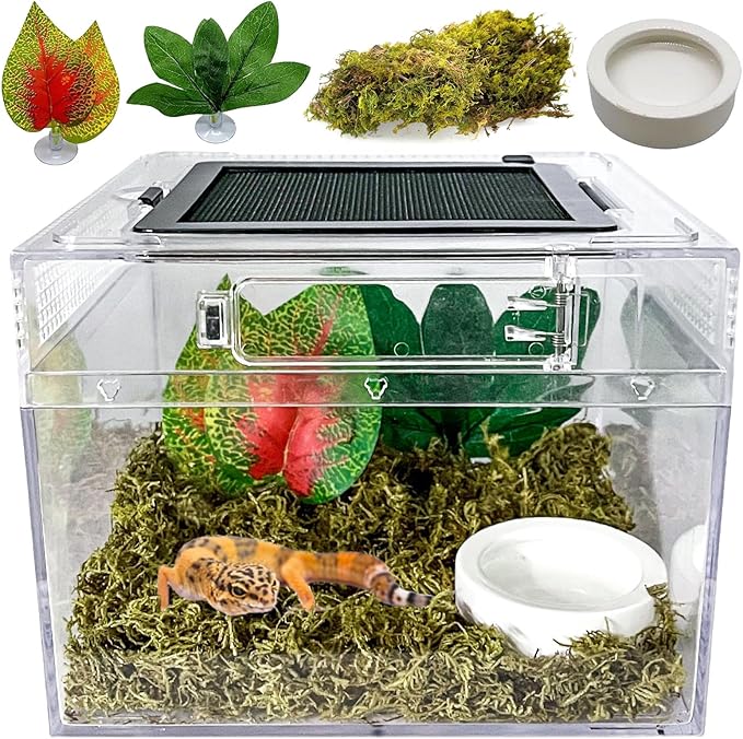 Reptile Terrarium, Jumping Spider Enclosure Starter Kit, Leopard Gecko Habitat Container, 8"x8"x7"Reptile Tank for Tarantula, Hermit Crab, Insect, Fish, Frog, Small Bearded Dragon, Lizard