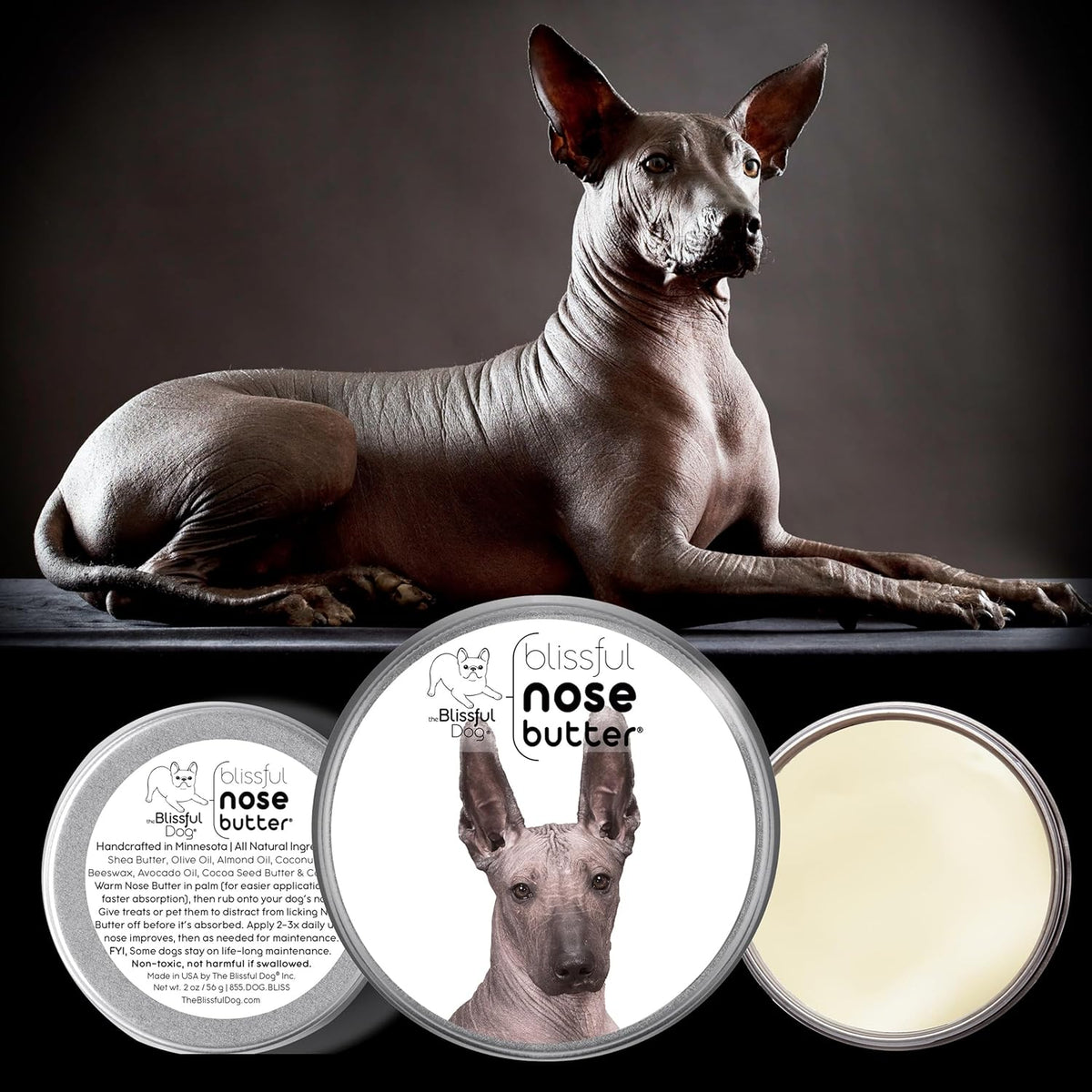 The Blissful Dog Xoloitzcuintli Nose Butter for Dry, Cracked Skin, Lick-Safe Dog Nose Balm with Moisturizing Shea Butter, Almond, Olive, and Essential Oils, Pet Supplies, Uncented, 2 oz.