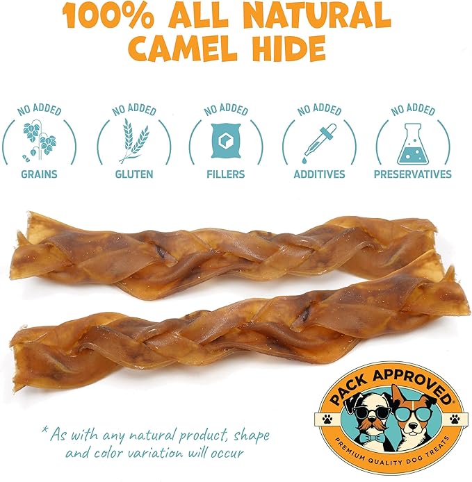 6" Braided Camel Sticks - Long Lasting Dog Chews for Aggressive Chewers - Rawhide Alternative, Grain Free, One Ingredient Treats - Great for Dog Dental Care - (10 Pack)