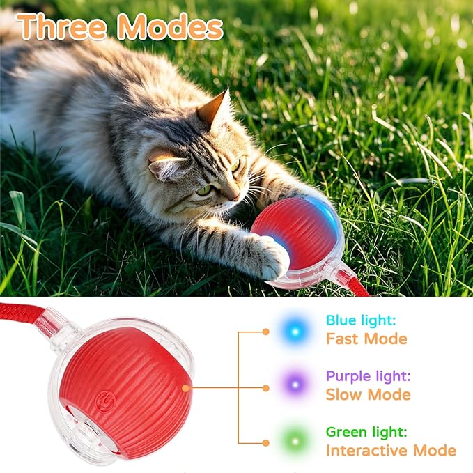 2025 New 3Pack Cat Ball Kitten Toys for Indoor Interactive Kitty Ball Toy Speedy Tail 360° Automatic Rolling(Red Grey Green)