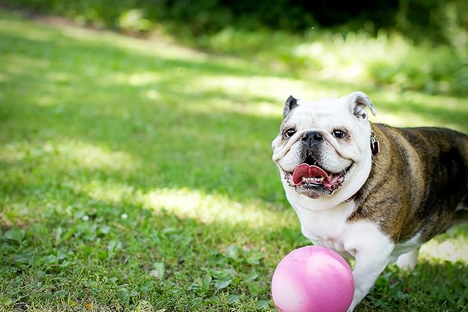 Jolly Pets Bounce-n-Play Dog Toy Ball, 6 Inches, Pink, 6 Inches/Medium (2506 PK)