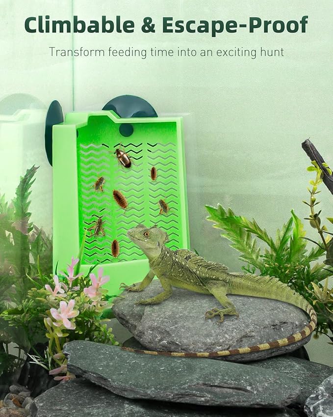 Pawfly Bearded Dragon Feeder - Escape-Proof Corner Reptile Food Box, Wall-Mounted with Suction Cups for Insects - Bug Bowl for Lizards, Geckos, Chameleons & Frogs