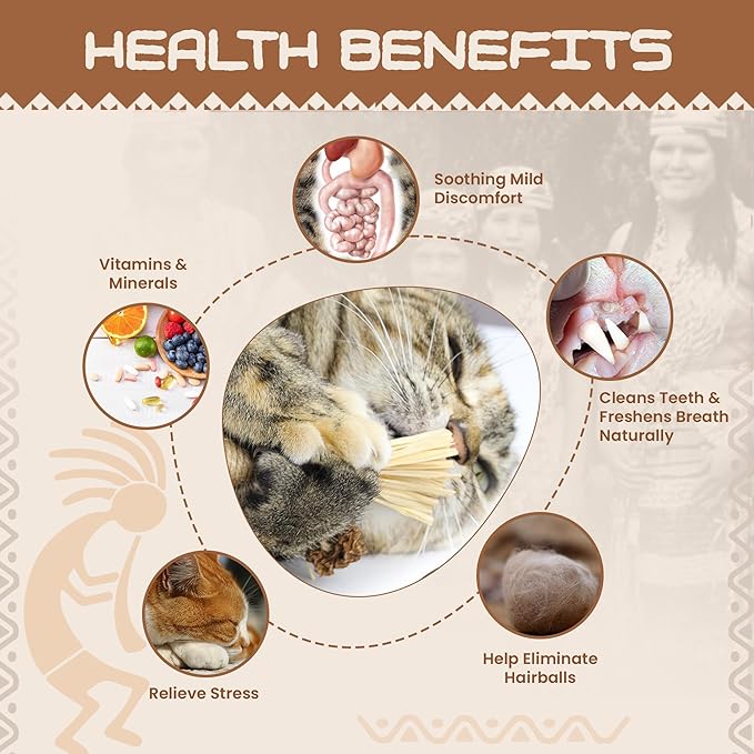 HUPA Catnip Silvervine Sticks | Anxiety Relief & Kitten Teeth Cleaning, Natural Silvervine with Raffia Grass for Healthy Teeth & Digestion | for Indoor Cats, All Ages & Breeds | 2 Sticks