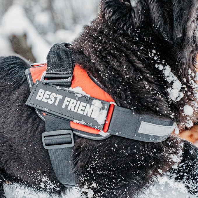 Personalized Dog Harness with Custom Name Patches, Adjustable Reflective No Choke Dog Vest with Handle for Large Dogs, Green, L