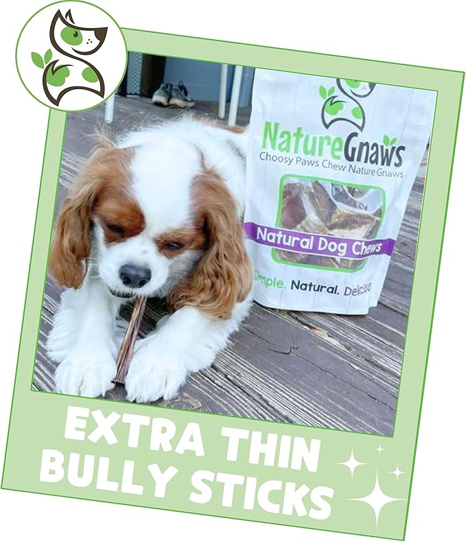 Nature Gnaws Extra Thin Bully Sticks for Small Dogs 5-6" (25 Count) - Long Lasting for Light Chewers and Puppies - Natural Beef Dog Chew Bones